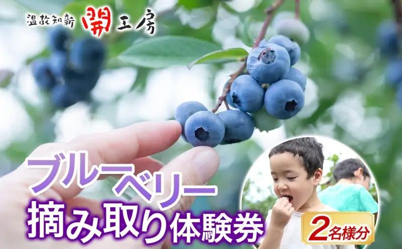摘み取り券 ブルーベリー農園 果実狩り 摘み取り券