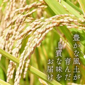 【令和7年産米】 新米 するがの極 5kg 特A 新米