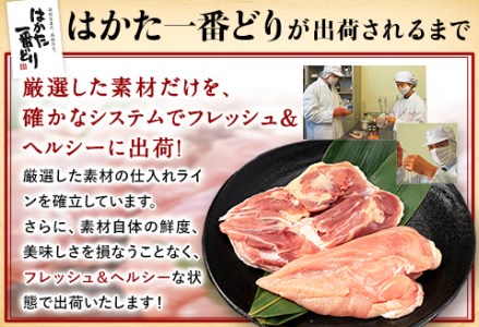 ふるさと納税 はかた一番どり もも肉 むね肉 セット 3000g 3kg 1枚約250g×12パック《30日以内に出荷予定(土日祝除く)》 大容量 鶏肉 鳥肉 冷凍 送料無料 株式会社あらい