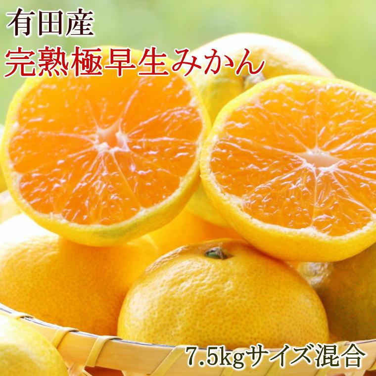 【ふるさと納税】［厳選］紀州有田の完熟極早生みかん約7.5kg(サイズ混合)★2026年10月下旬頃より順次発送