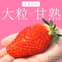 【ふるさと納税】【完熟朝穫れ大玉いちご】章姫2パックセット/北畿水産 国産 大粒 あきひめ 甘い やわらかい ふるさと納税 いちご イチゴ 苺 先行予約 期間限定 くだもの 果物 先行申込 ストロベリー ギフト 送料無料