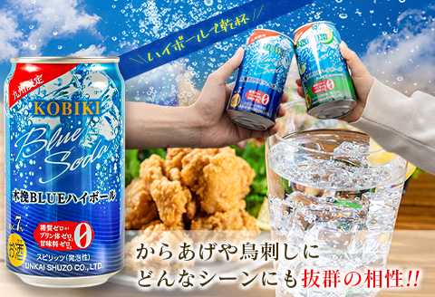 【3か月定期便】雲海酒造 九州限定 木挽BLUE ハイボール350ml×24本（木挽ブルー）