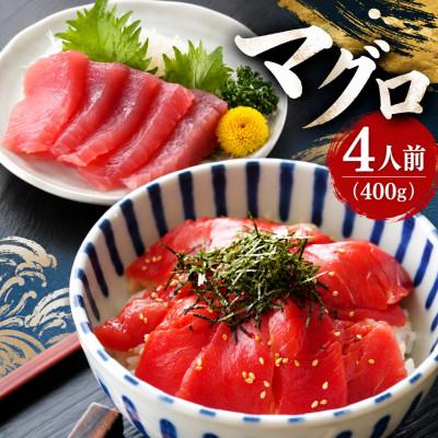 ふるさと納税 阪南市 天然国産マグロ(キハダorメバチ)　4人前 400g | 