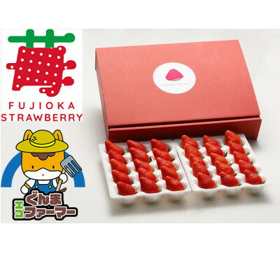 【ふるさと納税】いちご農園フルッティロッシの完熟やよいひめ　約400g × 2パック【配送不可地域：離島】【1387356】