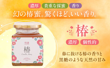 椿はちみつ（200g×2本） / はちみつ 国産 非加熱 純粋 蜂蜜 天然 ハチミツ / 稲沢市 / 椿園株式会社 [BMBI002]