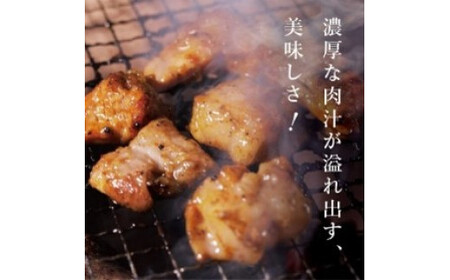 豚ホルモン2種詰め合わせ　【11100-1124】