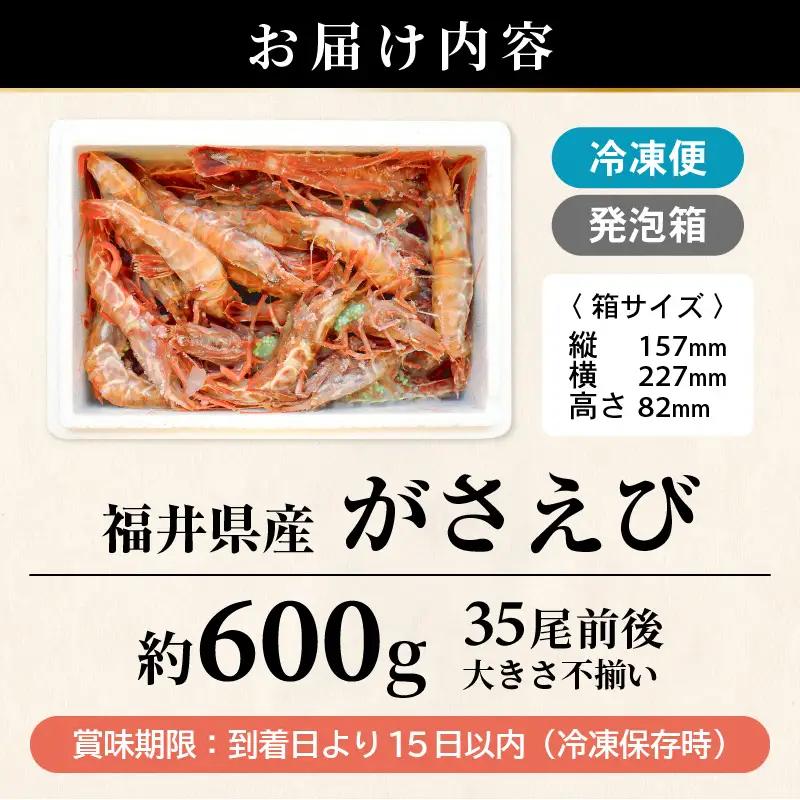 【発泡箱入り】がさえび 約600g エビ 冷凍 [A-23114]