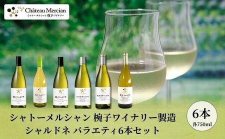 ワイン シャトー・メルシャン 椀子ワイナリー製造 シャルドネ ワイン