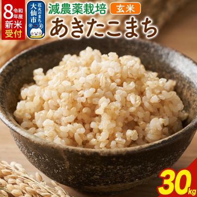 ふるさと納税 大仙市 《令和8年産 新米受付》減農薬栽培 あきたこまち【玄米】30kg|22_kwb-013001