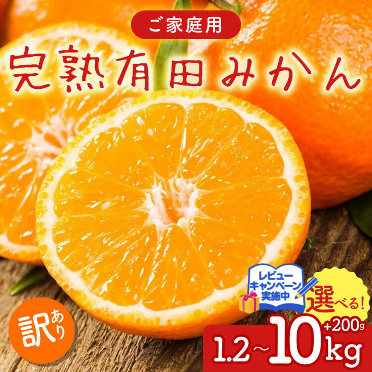 【ふるさと納税】【先行予約】【数量限定】濃厚有田みかん（ご家庭用）選べる内容量 │ みかん 訳あり 柑橘 フルーツ 果物 選べる ミカン 1.2kg 3.1kg 4.1kg 4.7kg 5.7kg 8.2kg 10.2kg