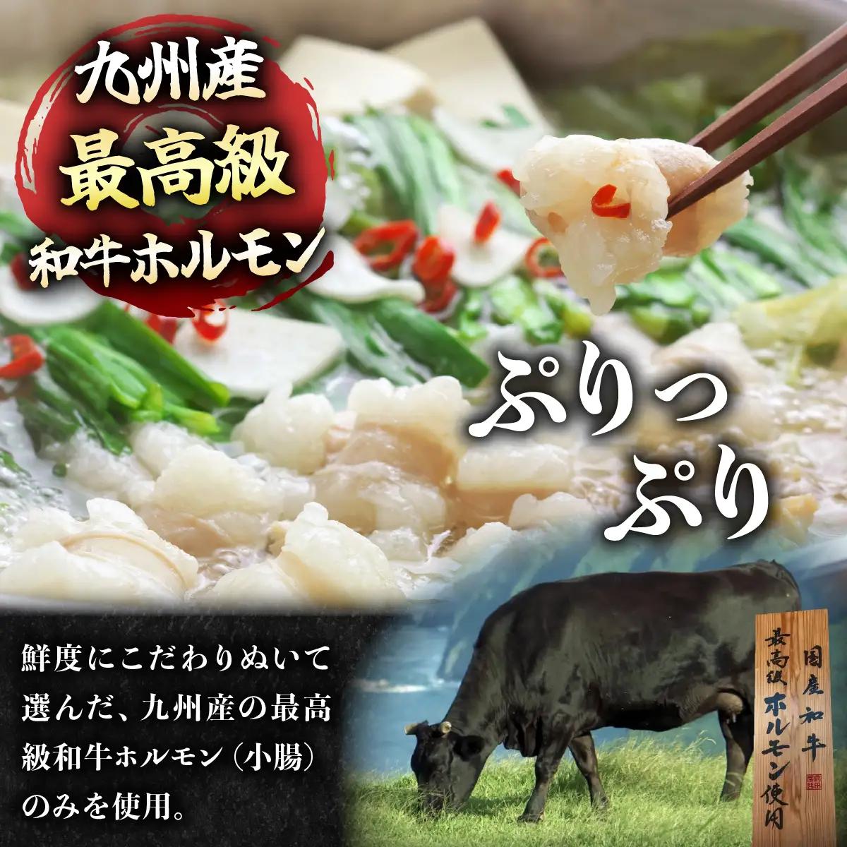＜定期便3回 3ヶ月毎にお届け＞博多もつ鍋前田屋 しょうゆ味2～3人前【LF015】