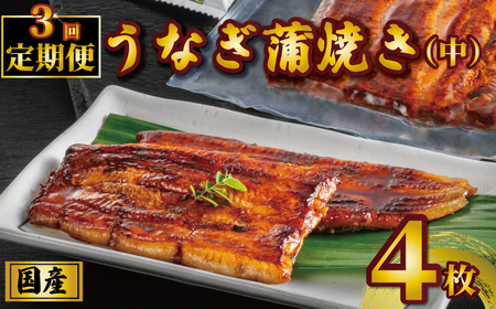 国産うなぎ蒲焼き タレ・山椒付き 4枚 1枚約100g 定期便3回 鰻 鰻 鰻 鰻 鰻 石毛川魚店