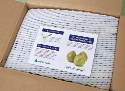 【定期便：全２回】ラ・フランス　３ｋｇ　ご家庭用を２回お届け　0037-2514