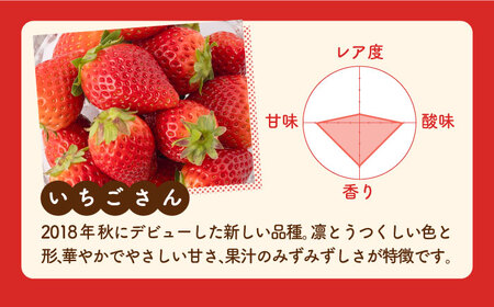 【先行予約 2027年1月～発送】【4回定期便】食べ比べ！いちごさん＆パールホワイト定期便 いちご IBG012