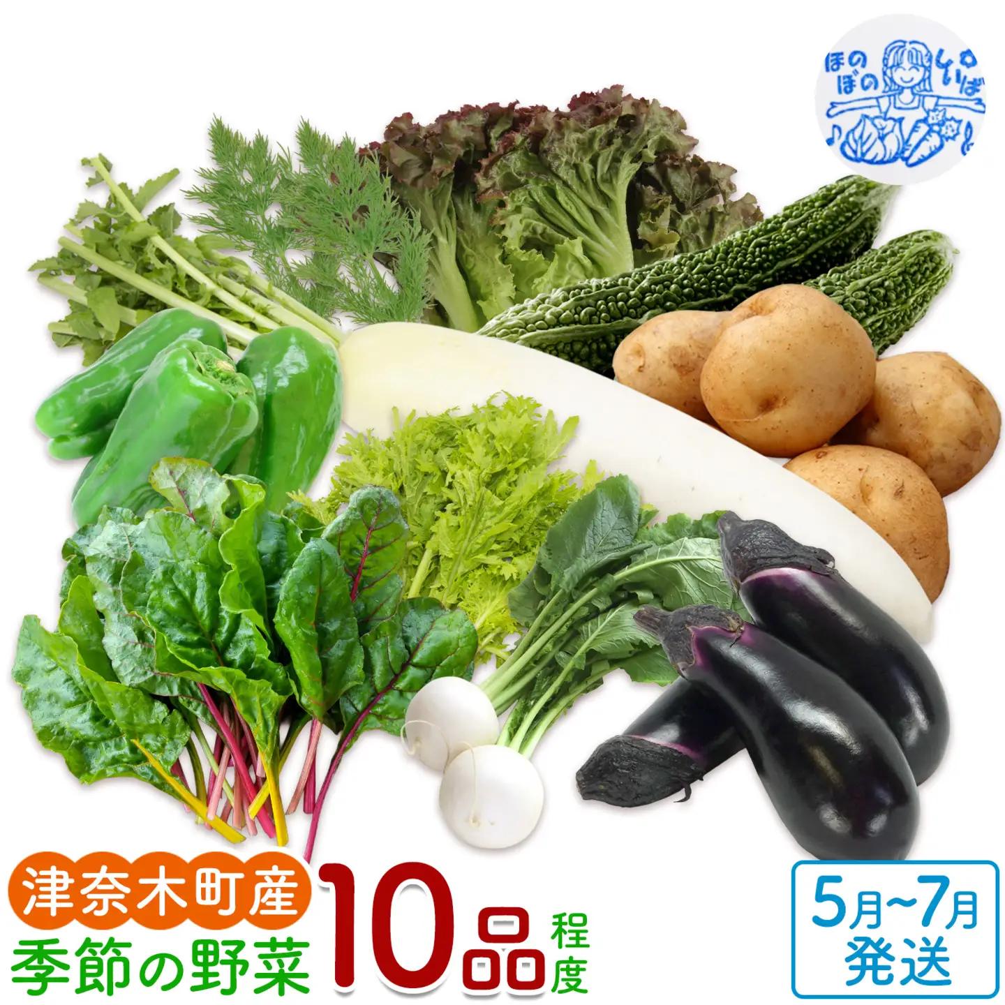 野菜 季節の野菜 10品 詰め合わせ セット ほのぼのしいば農園《5月上旬-7月下旬頃出荷》