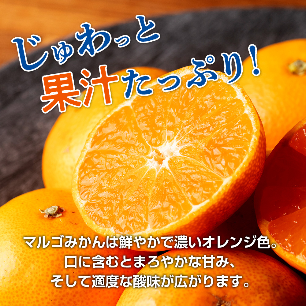 みかん 温州みかん 約5kg Sサイズ 優品 家庭用 期間限定 柑橘 蜜柑 mikan フルーツ 果物 くだもの 国産 ブランド 三重県 伊勢 志摩 南伊勢町 マルゴみかん JA伊勢