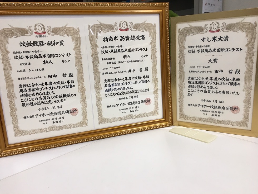 【発送時期が選べる】【新米】能登産コシヒカリ 能登夢米6kg（玄米3kg×2袋）◆ ※2024年11月中旬～12月下旬頃に順次発送予定