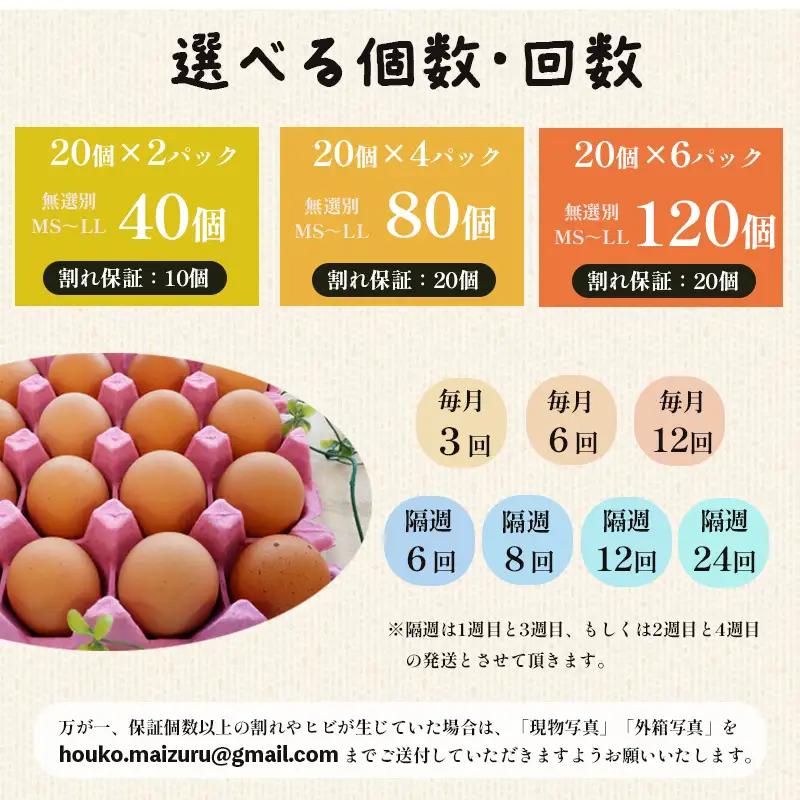 【 隔週６回定期便 】 卵 赤たまご 240個 ： 40個×6回 たまご 【配送不可地域：北海道、沖縄、離島】