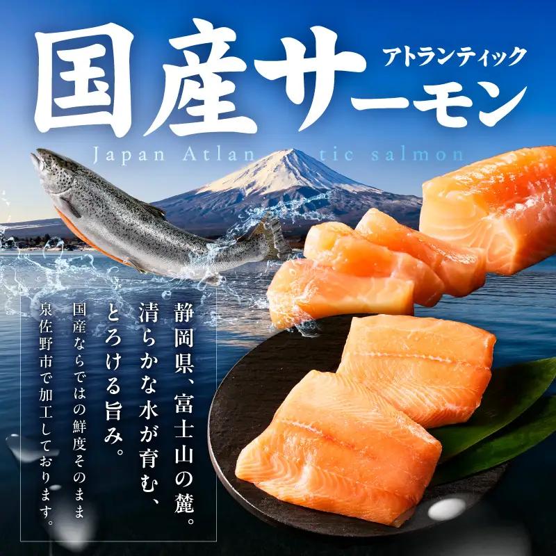 国産アトランティックサーモン 1kg ポーション