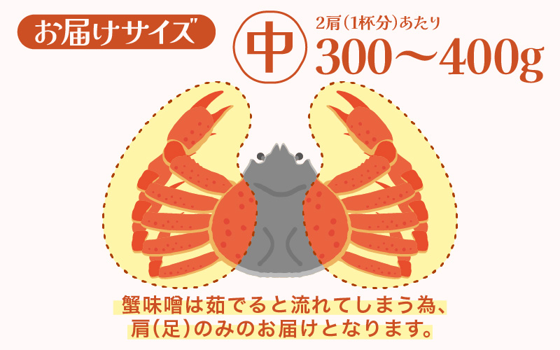 【期間限定】浜ゆで 越前産水がに中サイズ 4肩（足のみ2肩あたり300～400g） 合計600g以上 産地直送 食べやすい【雄 ズワイガニ 越前ガニ 足のみ ボイル 冷蔵 かに カニ 蟹 福井県】希望
