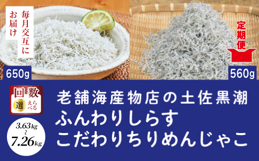 【 6回 定期便 】 土佐黒潮 ふんわり しらす 650g こだわり の ちりめんじゃこ 560g 【1カ月に1回交互にお届け】合計 3.63kg 冷凍 小分け 便利 無添加 無着色 国産 小魚 魚介 海産物 グルメ お取り寄せ