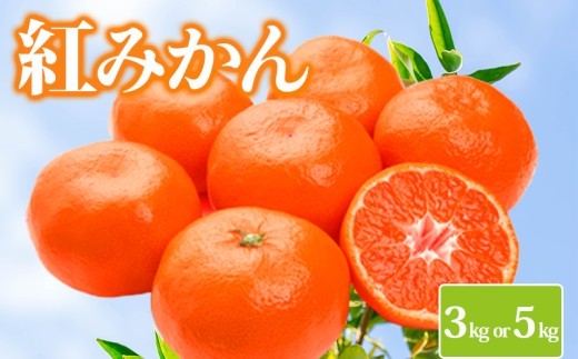 
                  みかん 約3kg 約5kg 紅みかん 小原紅早生 柑橘 ミカン 蜜柑 オレンジ 果物 くだもの フルーツ 果実 ジューシー ジュース おやつ スイーツ デザート 家庭用 12月～ 順次発送 香川県 丸亀市
                