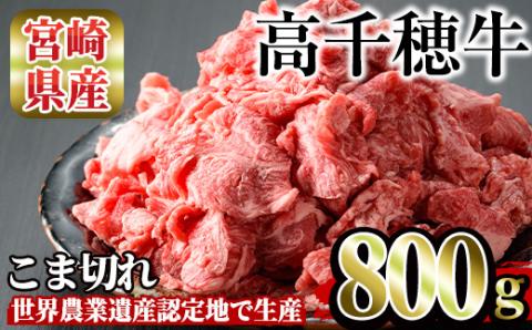 高千穂牛 こま切れ(800g)国産 宮崎県産 宮崎牛 牛肉 炒め物 切り落とし 霜降り A4 和牛 ブランド牛  【MT002】【JAみやざき 高千穂牛ミートセンター】