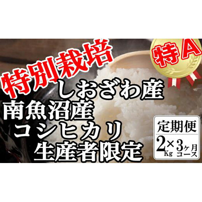 【ふるさと納税】【令和7年産】米 定期便 コシヒカリ 南魚沼しおざわ産 6kg ( 2kg × 3ヶ月 ) 特別栽培【2025年10月上旬より順次発送予定】 | お米 こめ 白米 コシヒカリ 食品 人気 おすすめ 送料無料 魚沼 南魚沼 南魚沼市 新潟県産 新潟県
