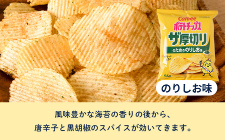 【定期便5カ月】ザ厚切りのための ２種セット うすしお・のりしお 各6袋 カルビー ポテトチップス 《千歳工場製造》