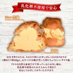 【乳化剤不使用】シューアイス 13個 手作り アイス