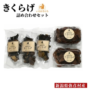 弥彦村産 越のうさぎ 生きくらげ250g×2･乾燥きくらげ25g×3 詰め合せセット | 生きくらげ 新潟県