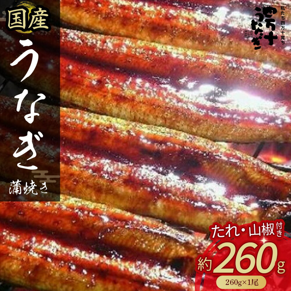 国産うなぎ蒲焼き1尾（260g） 冷凍 たれ付き