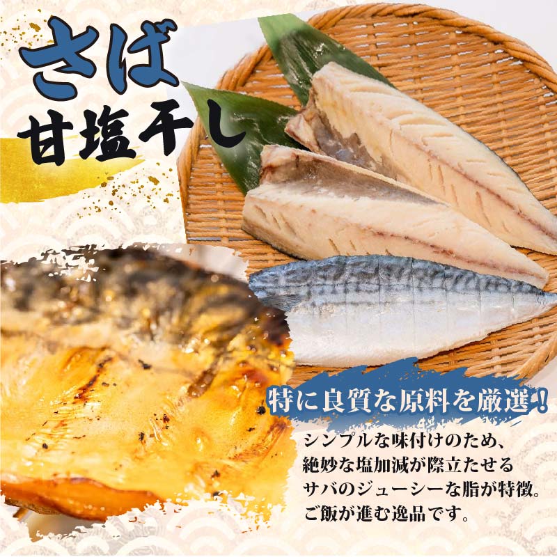 【小木曽商店】　干物詰合せ【Bセット】 定期便　２ヶ月　２回	