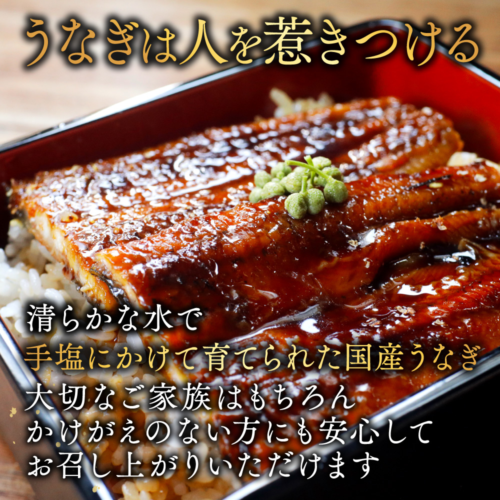 （6月）国産　特上うなぎ(130g×3尾)
