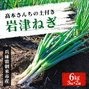 【ふるさと納税】【12月10日以降順次発送】高本さんちの土付き岩津ねぎ6kg（3kg×2箱） 兵庫県 朝来市 AS2BD1 岩津ねぎ ねぎ ネギ 葱 長ねぎ 長ネギ 長葱 ブランドねぎ ブランドネギ ブランド葱 期間限定 数量限定 野菜 旬の野菜 冬野菜