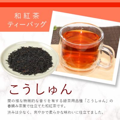 ふるさと納税 東白川村 和紅茶ティーバッグ こうしゅん 8個×2袋 東白川村産 岐阜県産 特選 和紅茶 紅茶 ティーバッグ |  | 01