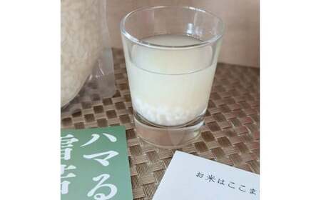 飯豊の生あまさけ350ｇ4本セット【冷凍発送】【甘酒】