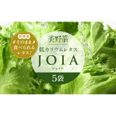 低カリウムレタス 美野菜 「JOIA」 5袋 クリーンルーム栽培 鮮度長持ち