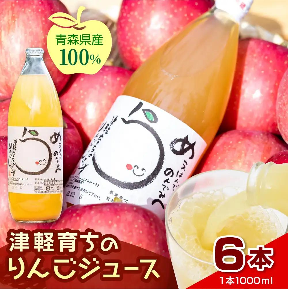 【11月より順次発送】 りんごジュース １L×6本 100％ストレート果汁りんごジュース