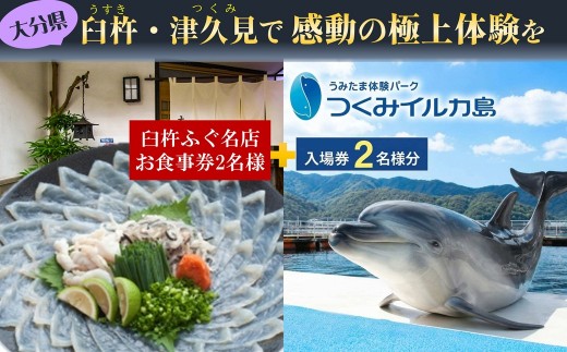 
                  臼杵ふぐ名店お食事券と、うみたま体験パーク「つくみイルカ島」入場券 (2名様分) | チケット ペア入場券 利用券 体験型 観光 フグ とらふぐ 名物 水族館 ふれあい 九州 大分県
                