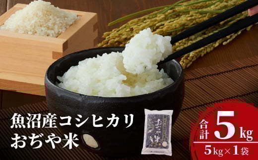 令和7年産 魚沼産コシヒカリ 5kg JA魚沼 【0002-JA02-01】