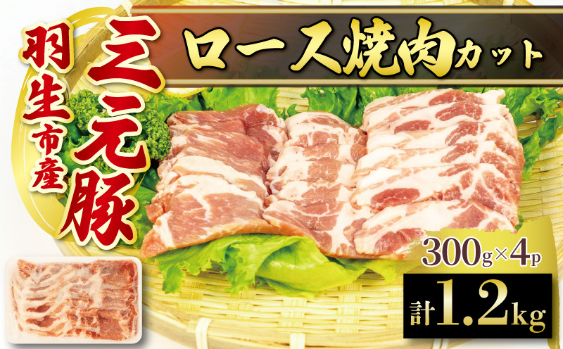 
ロース 焼き肉 カット 1.2kg ( 300g × 4P） 国産 三元豚 冷凍 真空 小分け 個包装 たっぷり 大容量 大きめ 厚切り 豚肉 豚 ブタ ポーク ジューシー お弁当 おかず 惣菜 晩ごはん 贅沢 ギフト お中元 御中元 贈り物 贈答 埼玉県 羽生市
