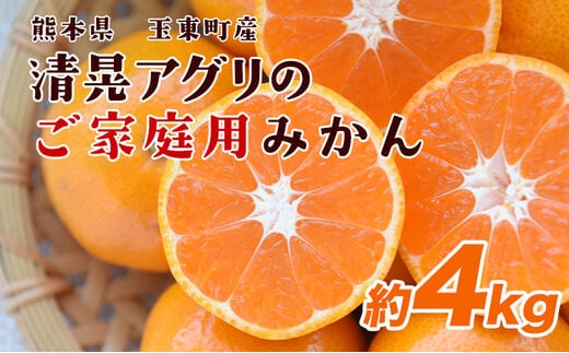 
										
										ご家庭用『清晃アグリ』のご家庭用みかん★約4kg(2S-2Lサイズ) 予約受付中 フルーツ 秋 旬★熊本県玉名郡玉東町 健康な土で育つジューシーおいしいみかん！ちょこっと訳あり《11月中旬-12月末頃より順次出荷》---sg_wagurimikan_bc11_24_7500_4kg---
									