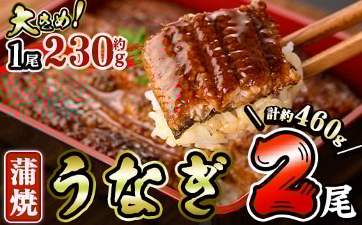 うなぎ 蒲焼 (計約460g・約230g×2尾・山椒、タレ付き) 鰻 さんしょう 冷凍 かば焼き うな重 うな丼 ひつまぶし 小分け 土用 丑の日 中国産【AW-61】【丸正水産】