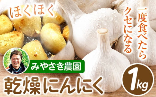 乾燥にんにく 約1kg みやざき農園《6月下旬-10月末頃出荷》 にんにく ニンニク 国産 乾燥にんにく ガーリック---sh_miyafarm_30d_23_9000_1kg---