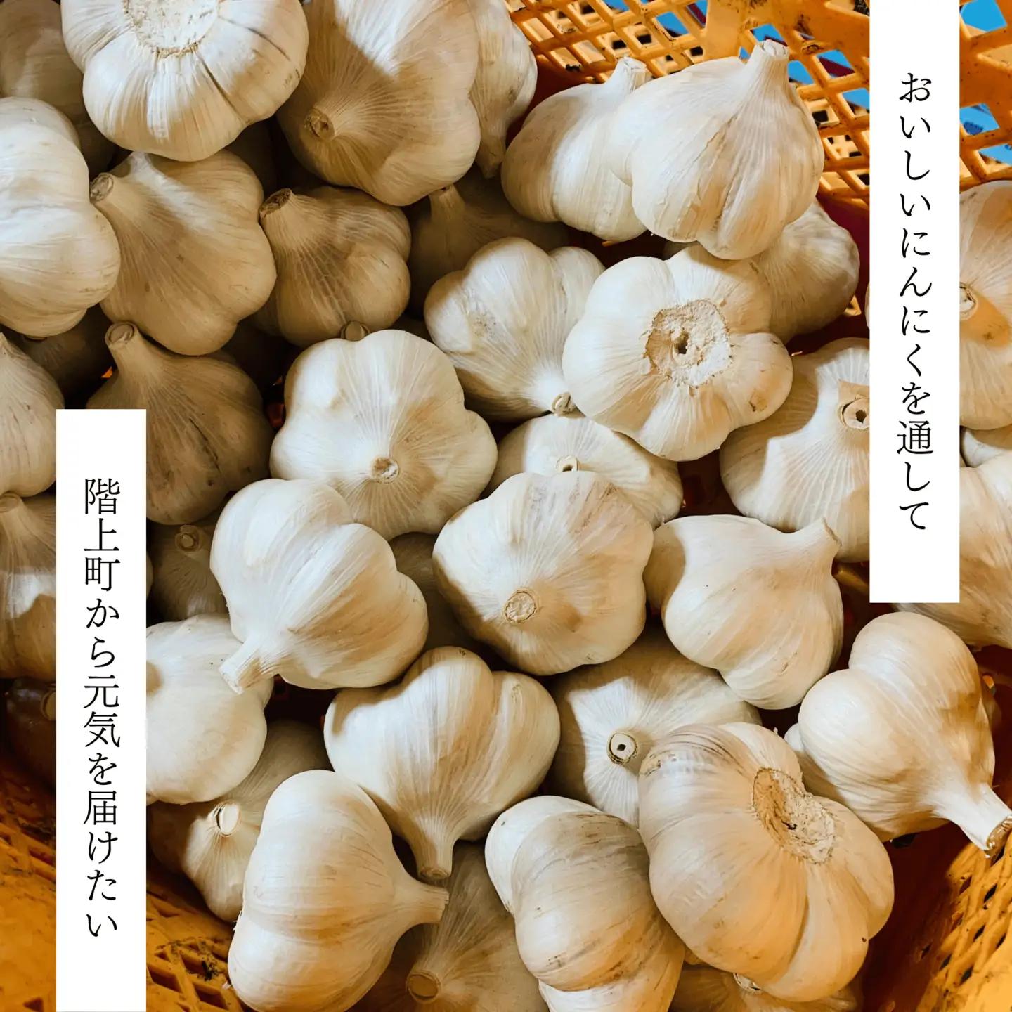 「青森県階上町産」乾燥にんにく　Lサイズ　500g