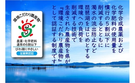 【7年産】近江米 環境こだわり米 コシヒカリ 無洗米【5kg×1