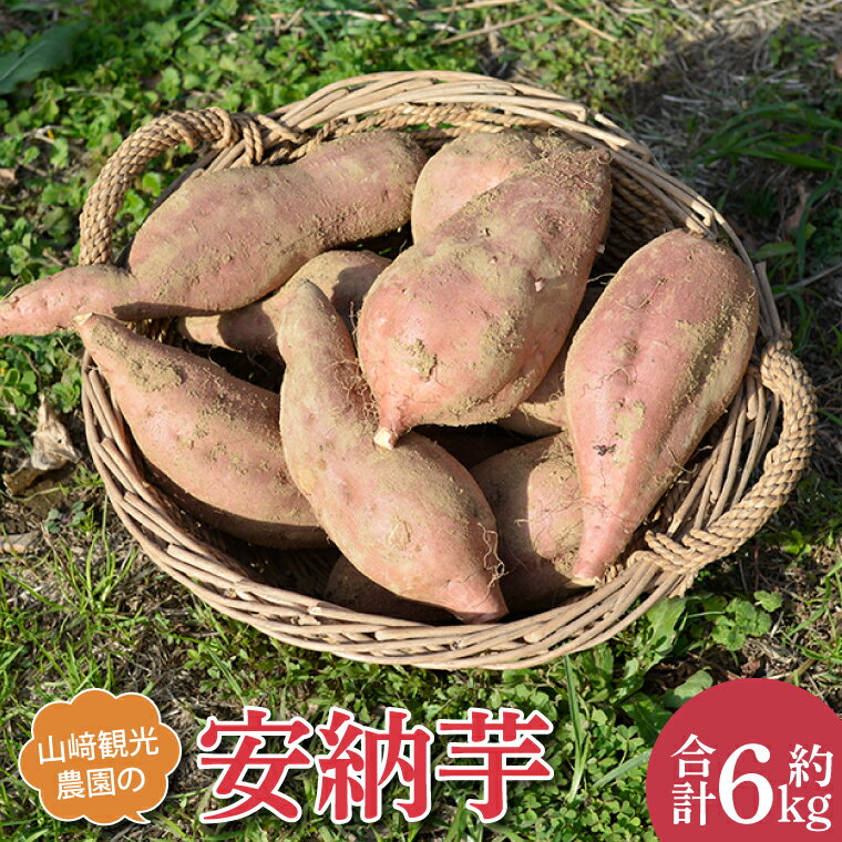 【ふるさと納税】山崎観光農園の安納芋　約6kg｜栃木県 益子町 ふるさと納税 さつまいも 芋 サツマイモ 安納芋 6kg（AU013）