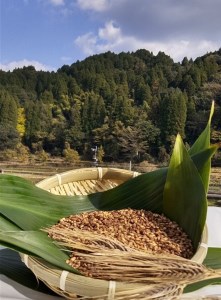 山々と源流の山国町「nakano麦園」の希少な『紫もち麦』ダイシモチ300g×5袋 |  紫もち麦 もち麦 麦 ダイシモチ 紫麦 雑穀 穀物 希少 国産 麦ご飯 1500g 1500グラム 1.5kg
