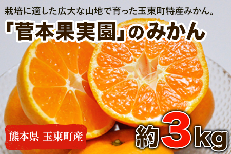 『菅本果実園』のみかん★約3kg(2S-Lサイズ)《10月中旬-12月末頃出荷》 予約受付中 フルーツ 秋 旬★熊本県玉名郡玉東町 全国にファン多数！エコファーマー菅本さんのみかん『菅本果実園』